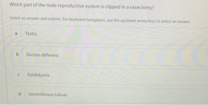 One Of These Is Not A Function Of The Spleen Select An Answer And Submit For Keyboard Navigation Use The Up Down Arrow 8