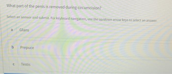 One Of These Is Not A Function Of The Spleen Select An Answer And Submit For Keyboard Navigation Use The Up Down Arrow 9