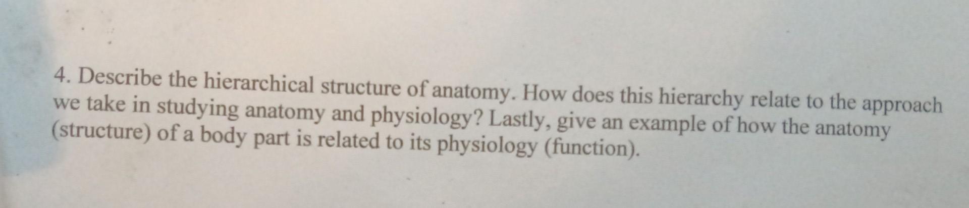 4 Describe The Hierarchical Structure Of Anatomy How Does This Hierarchy Relate To The Approach We Take In Studying An 1