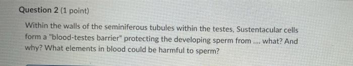 Question 2 1 Point Within The Walls Of The Seminiferous Tubules Within The Testes Sustentacular Cells Form A Blood T 1