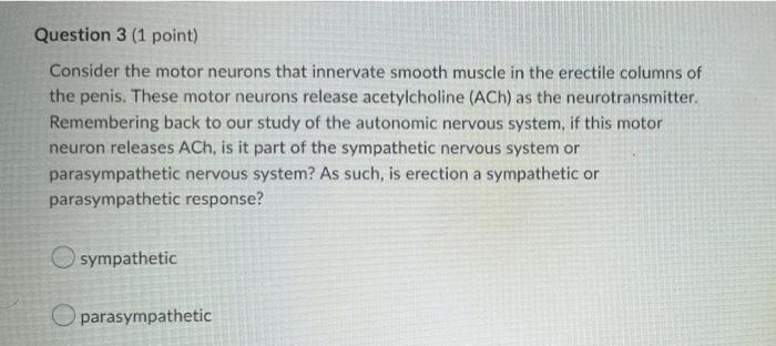 Question 2 1 Point Within The Walls Of The Seminiferous Tubules Within The Testes Sustentacular Cells Form A Blood T 2