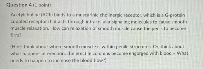Question 2 1 Point Within The Walls Of The Seminiferous Tubules Within The Testes Sustentacular Cells Form A Blood T 3
