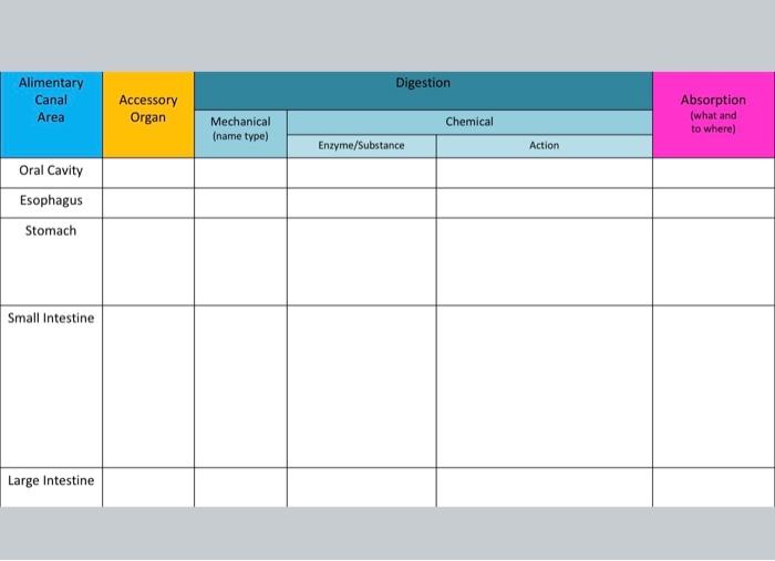 Purpose This Assignment Organizes Basic Physiologic Functions Of The Digestive System With Their Anatomic Locations Ski 3