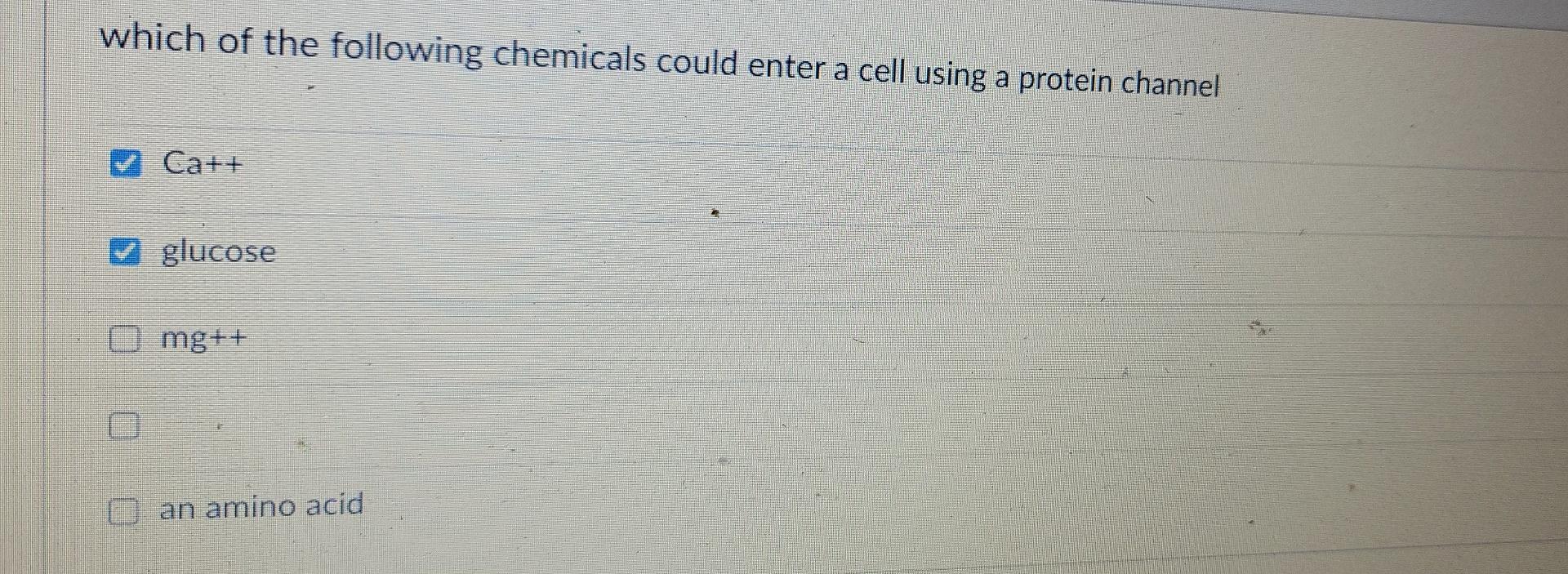 Which Of The Following Chemicals Could Enter A Cell Using A Protein Channel 2 Ca Glucose Mg Can Amino Acid 1