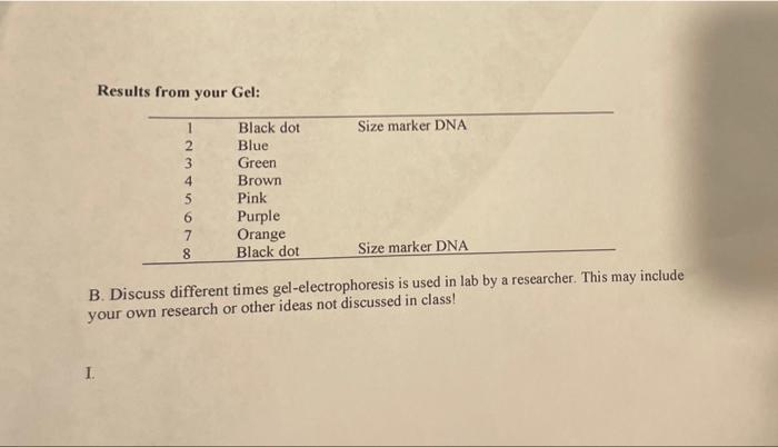 Results From Your Gel Size Marker Dna 1 2 3 4 5 6 7 8 Black Dot Blue Green Brown Pink Purple Orange Black Dot Size Mark 2
