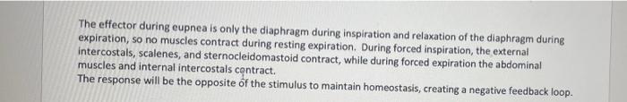 Nervous Control Of Ventilation There Is A Negative Feedback Loop That Helps Control Ventilation The Stimulus Is When Th 2