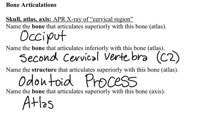 Bone Articulations Skull Atlas Axis Apr X Ray Of Cervical Region Name The Bone That Articulates Superiorly With Thi 1