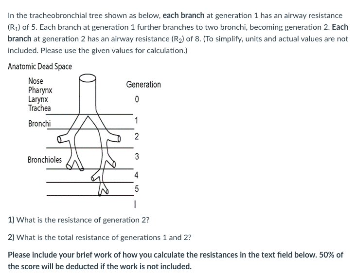 In The Tracheobronchial Tree Shown As Below Each Branch At Generation 1 Has An Airway Resistance R1 Of 5 Each Branch 1