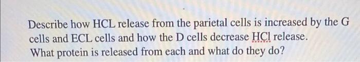Describe How Hcl Release From The Parietal Cells Is Increased By The G Cells And Ecl Cells And How The D Cells Decrease 1