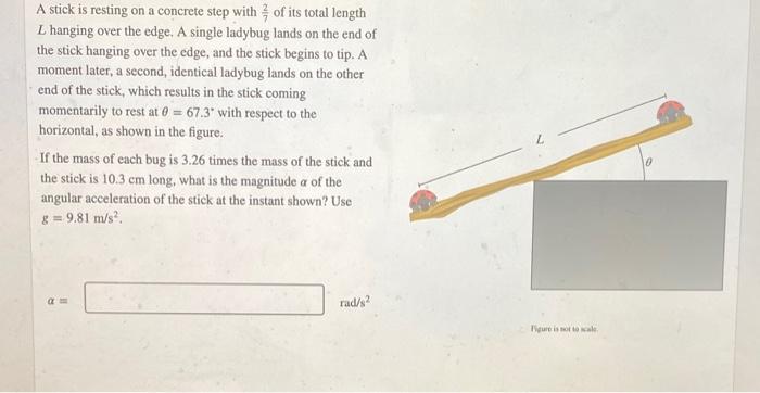 A Stick Is Resting On A Concrete Step With Of Its Total Length L Hanging Over The Edge A Single Ladybug Lands On The En 1