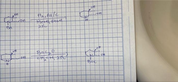 Directions For Each Reaction Give The Mechanism Please Don T Skip A Step Identify The Nucleophile Electrophile Leav 1