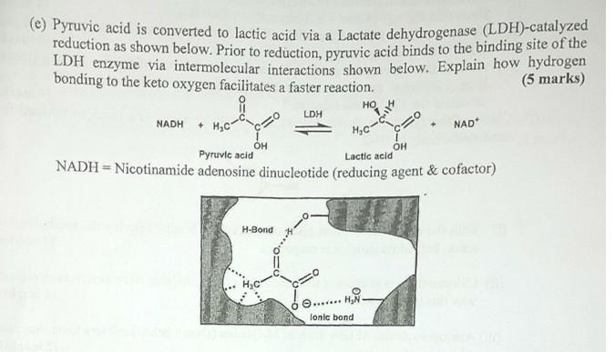 E Pyruvic Acid Is Converted To Lactic Acid Via A Lactate Dehydrogenase Ldh Catalyzed Reduction As Shown Below Prior 1