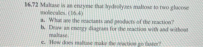 16 72 Maltase Is An Enzyme That Hydrolyzes Maltose To Two Glucose Molecules 16 4 A What Are The Reactants And Produc 1