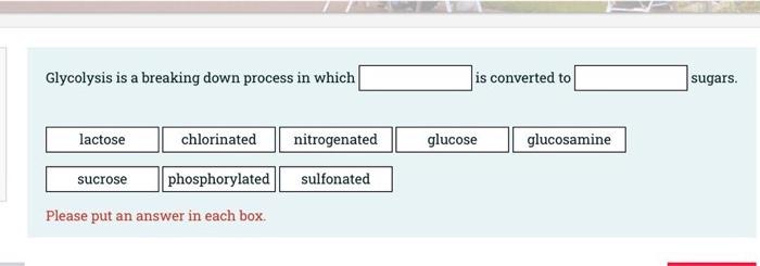Glycolysis Is A Breaking Down Process In Which Is Converted To Sugars Lactose Chlorinated Nitrogenated Glucose Glucosam 1