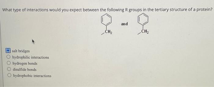 What Type Of Interactions Would You Expect Between The Following R Groups In The Tertiary Structure Of A Protein And Ch 1