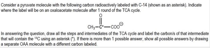 Consider A Pyruvate Molecule With The Following Carbon Radioactively Labeled With C 14 Shown As An Asterisk Indicate 1