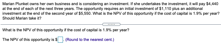 Marian Plunket Owns Her Own Business And Is Considering An Investment If She Undertakes The Investment It Will Pay 4 1