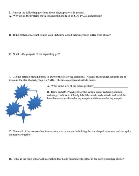 3 Answer The Following Questions About Electrophoresis In General A Why Do All The Proteins Move Towards The Anode In 1