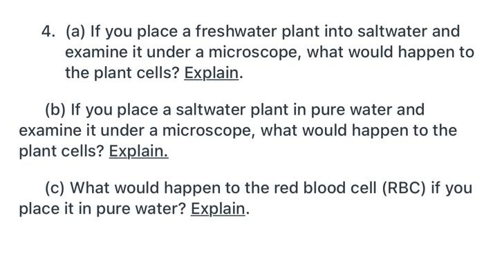 4 A If You Place A Freshwater Plant Into Saltwater And Examine It Under A Microscope What Would Happen To The Plant 1