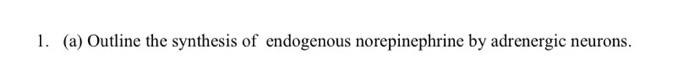 1 A Outline The Synthesis Of Endogenous Norepinephrine By Adrenergic Neurons 1
