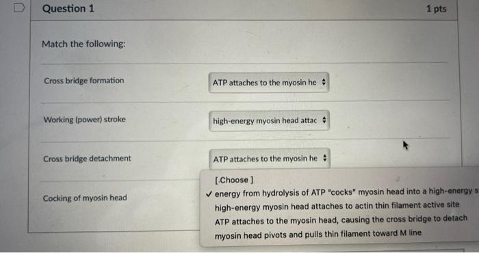 D Question 1 1 Pts Match The Following Cross Bridge Formation Atp Attaches To The Myosin He Working Power Stroke High 1