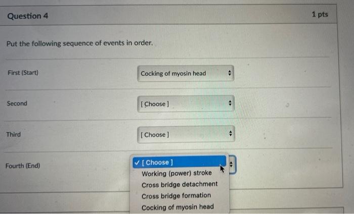 Question 4 1 Pts Put The Following Sequence Of Events In Order First Start Cocking Of Myosin Head Second Choose Thi 1