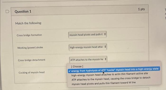 Question 4 1 Pts Put The Following Sequence Of Events In Order First Start Cocking Of Myosin Head Second Choose Thi 2