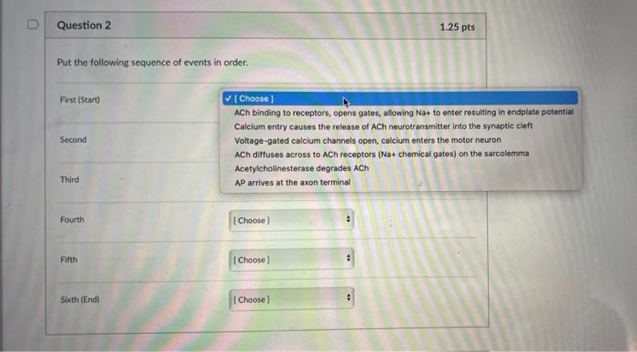 U Question 2 1 25 Pts Put The Following Sequence Of Events In Order First Start Second Choose Ach Binding To Recepto 1