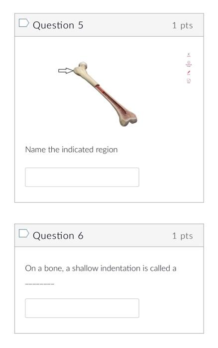 Question 1 1 Pts Name The Indicated Structure 2 Words Question 2 1 Pts Name The Indicated Structure Question 3 1 P 4