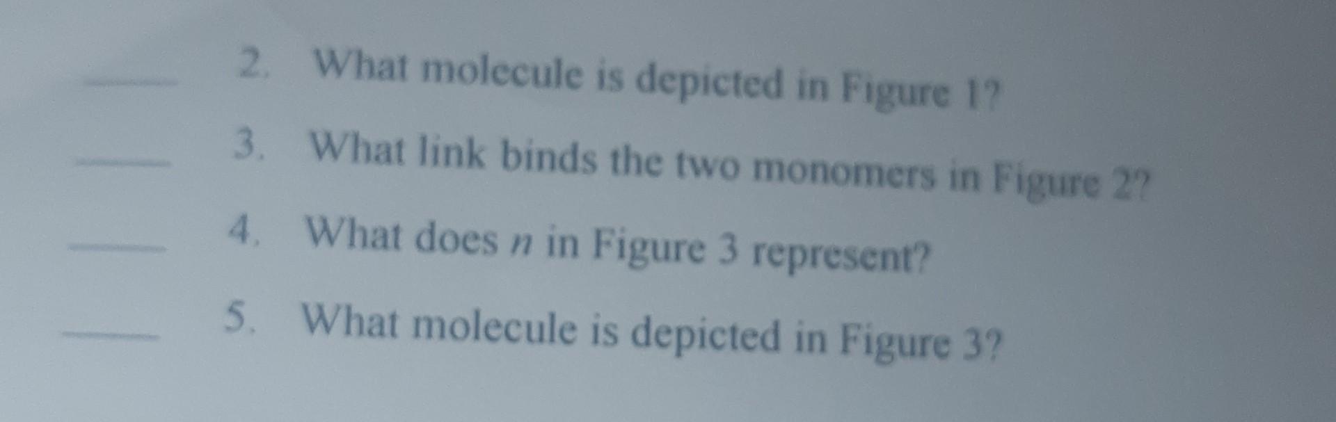2 What Molecule Is Depicted In Figure 1 3 What Link Binds The Two Monomers In Figure 2 4 What Does N In Figure 3 Re 2