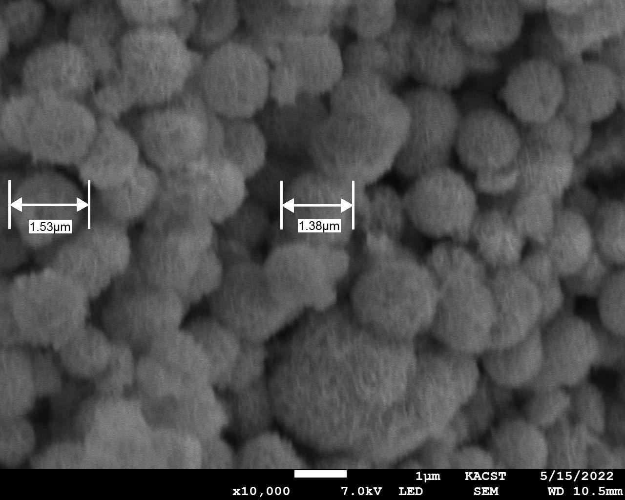 What Is Useful Data From This Image Knowing That The Image Used From Scanning Electron Microscopes Sem 1