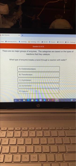 Um Ho Qation 22 Of There Are Six Major Groups Of Enzymes The Categories Are Based On The Types Of Reactions That They C 1