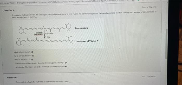 Www 66441 Douteuil Ofw Placaging Src2foldet Question 3 0 Out Of 25 Points The Enzyme That In The Age Out Of Heta Carne T 1