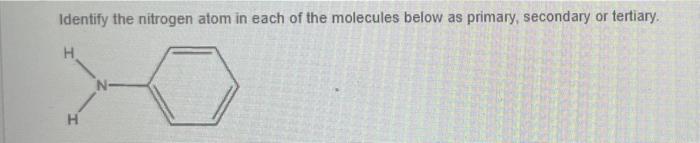 Identify The Nitrogen Atom In Each Of The Molecules Below As Primary Secondary Or Tertiary H H 1