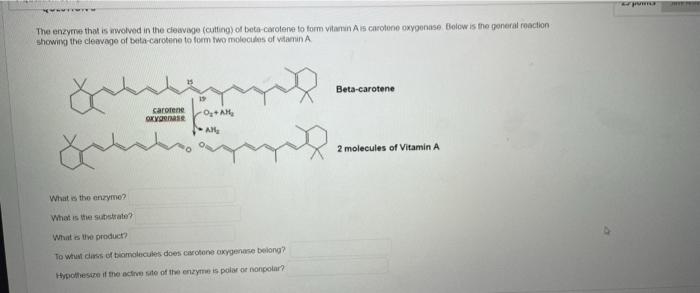 The Enzyme That Is Uwolved In The Cleavage Cutting Of Beta Carotene To Form Vitamin A Is One Oxygenase Below Is The Go 1