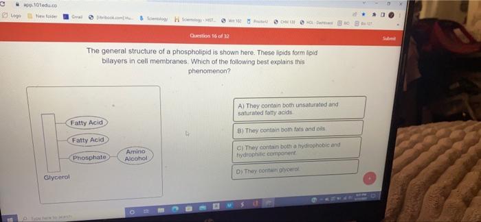 Wpp 101edu Co Logo Folder Gm Dhu Question 16 Of 22 The General Structure Of A Phospholipid Is Shown Here These Lipids 1