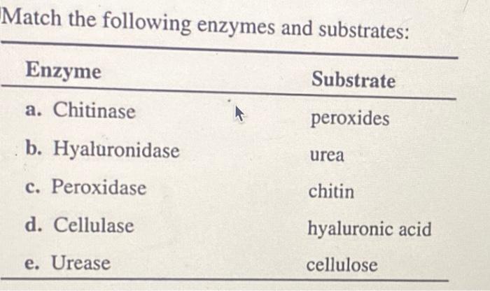 Match The Following Enzymes And Substrates Enzyme Substrate A Chitinase Peroxides B Hyaluronidase Urea C Peroxidase 1