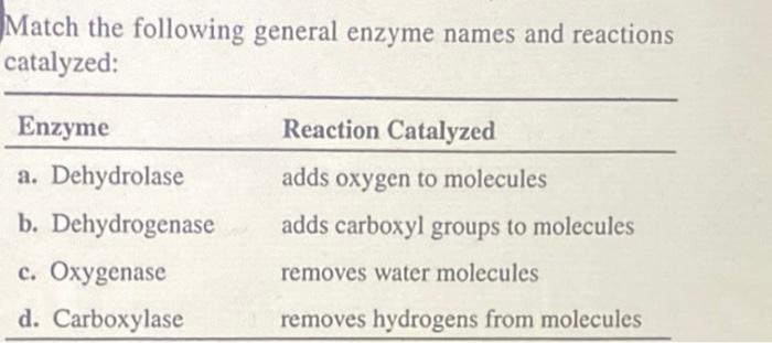 Match The Following General Enzyme Names And Reactions Catalyzed Enzyme A Dehydrolase B Dehydrogenase C Oxygenase D 1