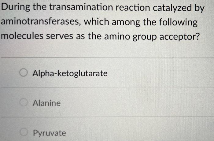 During The Transamination Reaction Catalyzed By Aminotransferases Which Among The Following Molecules Serves As The Ami 1