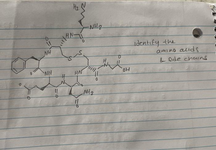 H2 N Nh 11 Nh S Identify The Amino Auds Side Chains Oh Nh Hn 0 Nh2 1