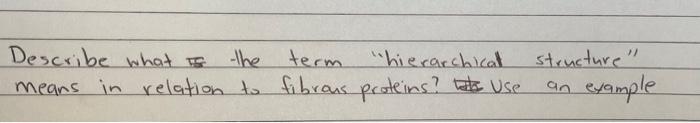 Describe What To The Term Hierarchical Means In Relation To Fibrous Proteins Tells Use Structure Example An 1