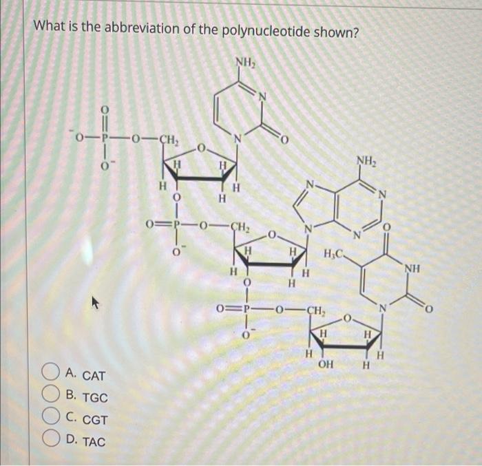 2 Points The Compound Shown Below Is Best Classified As What Type Of Lipid Oh A Soa B Triacylglycerol C Wax D Fatty 2