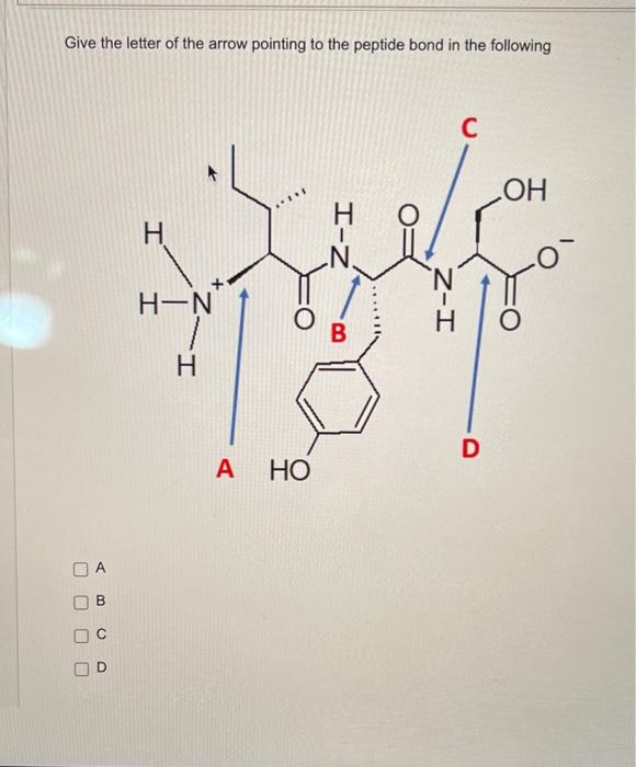 Which Compound Is Classified As A Hydrocarbon O A Oh B I Z N Oc Oh Od Give The Letter Of The Arrow Pointing To T 2