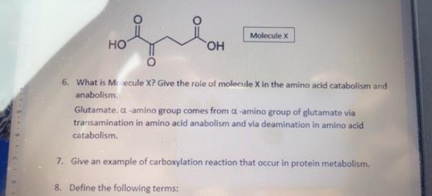 Molecule X Ho Oh 6 What Is Molecule X Give The Role Of Molecule X In The Amino Acid Catabolism And Anabolism Glutamat 1