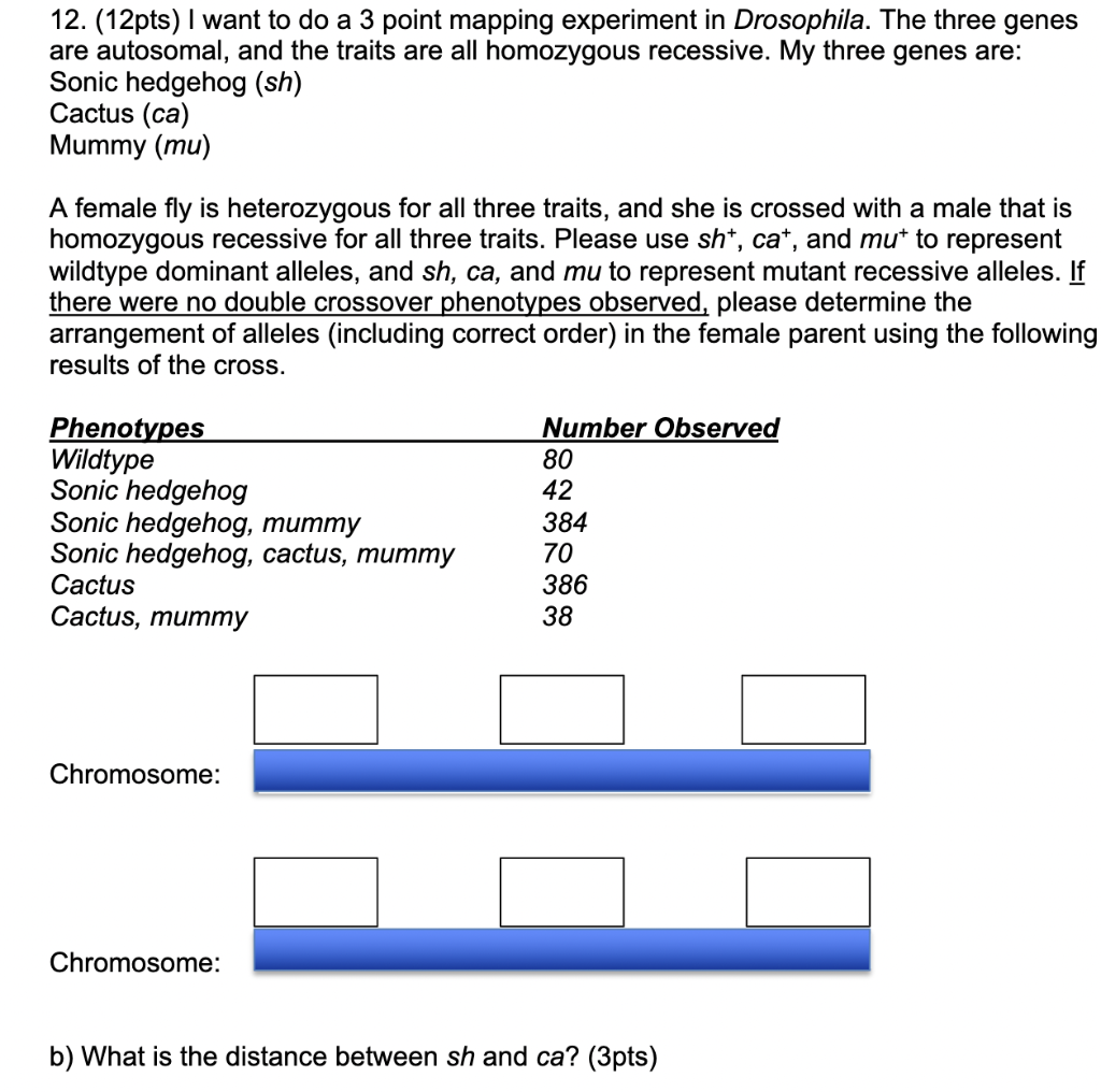 12 12pts I Want To Do A 3 Point Mapping Experiment In Drosophila The Three Genes Are Autosomal And The Traits Are A 1