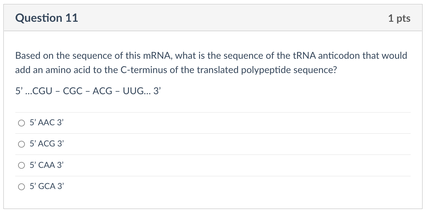 Question 11 1 Pts Based On The Sequence Of This Mrna What Is The Sequence Of The Trna Anticodon That Would Add An Amino 1