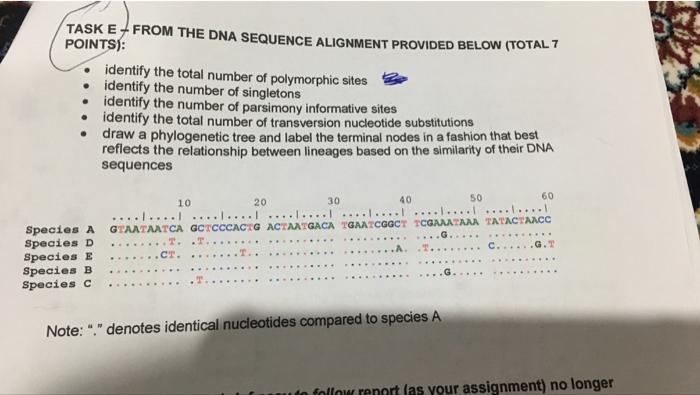 Task E From The Dna Sequence Alignment Provided Below Total 7 Points Identify The Total Number Of Polymorphic Sites 1