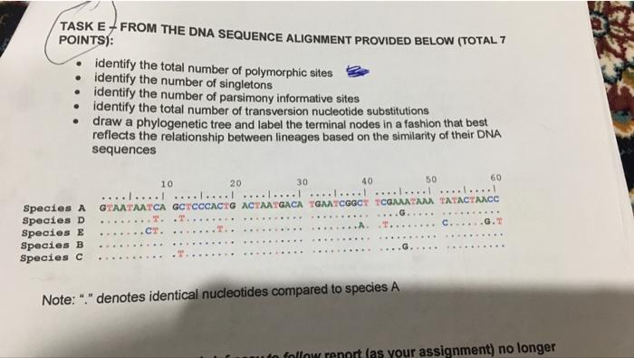 Taske From The Dna Sequence Alignment Provided Below Total 7 Points Identify The Total Number Of Polymorphic Sites 1