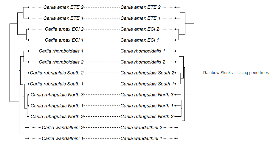 Carlia Amax Ete 2 Carlia Amax Ete 2 Carlia Amax Ete 1 Carlia Amax Ete 1 Carlia Amax Eci 2 Carlia Amax Eci 2 Ca 1