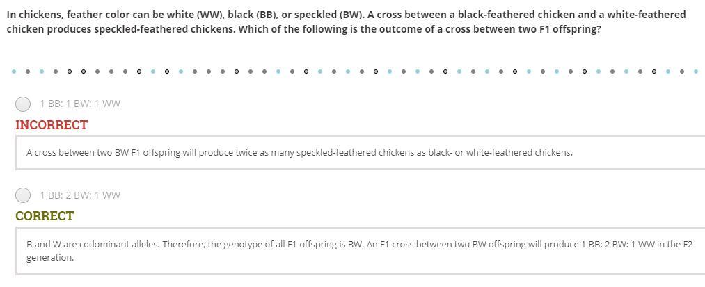 In Chickens Feather Color Can Be White Ww Black Bb Or Speckled Bw A Cross Between A Black Feathered Chicken An 1